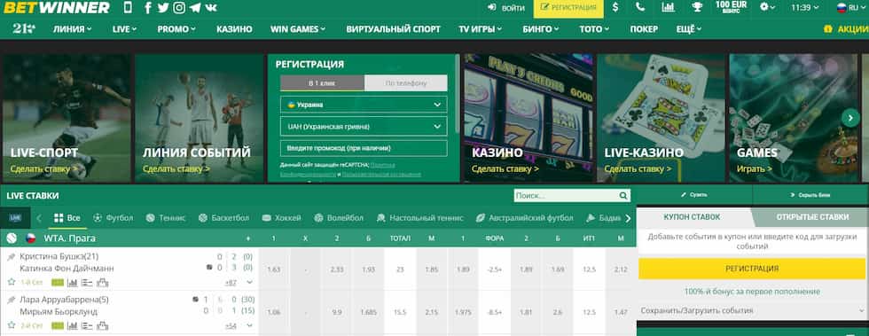 Discovering the Excitement of Betwinner Casino