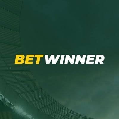 Discovering the Excitement of Betwinner Casino